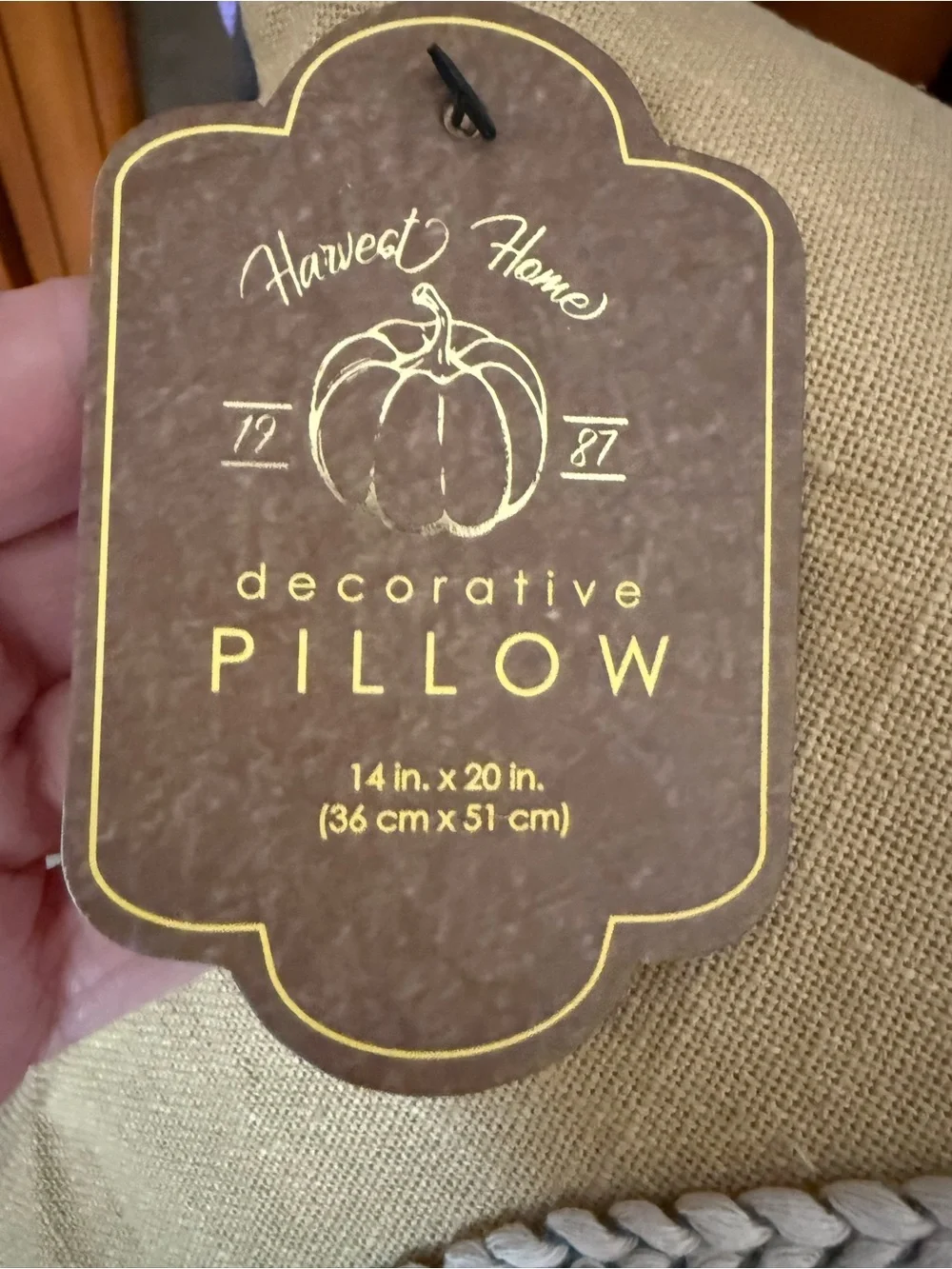 Decorative Mustard Pumpkin Embroidered Throw Pillow’s - Brand: Harvest Home.